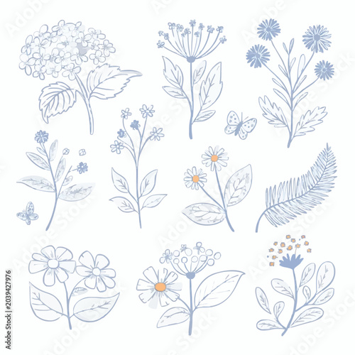 Minimalist Pastel Blue Botanical Illustrations Set: Hand-Drawn Wildflowers, Daisies, Hydrangea, and Fern Leaf Elements
