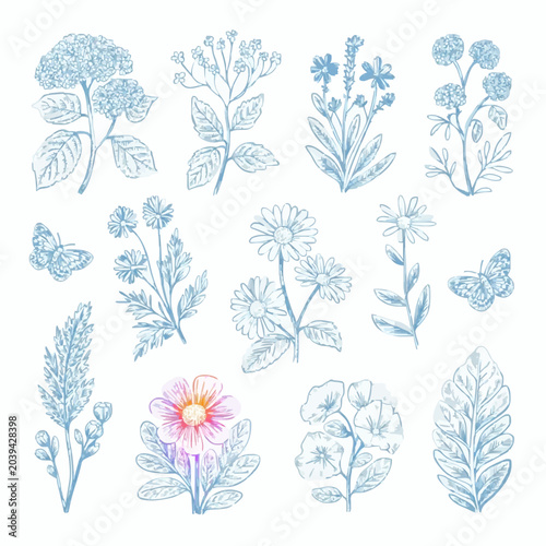 Elegant Hand-Drawn Floral Graphic Elements Set: Blue Sketch Wildflowers, Daisies, Hydrangeas, and Butterflies Clip Art

