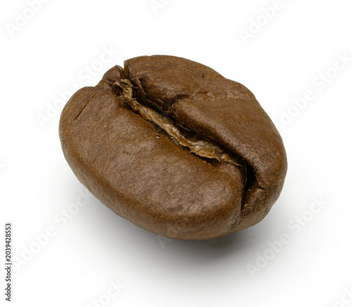 Single Roasted Coffee Bean, Isolated on White Background