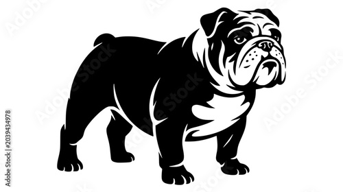 Bulldog, black and white dog, animal illustration, vector graphic