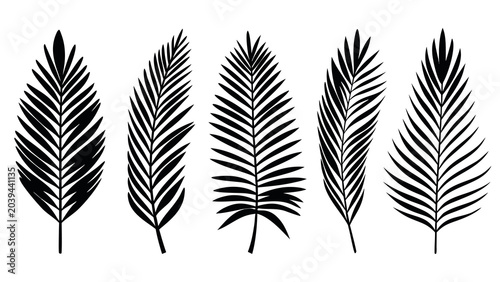 Black and white vector illustration set featuring various detailed tropical palm leaves for creative design projects