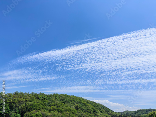 Tableau sur toile 鱗雲が広がる初夏の青空と新緑