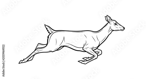 Graceful jumping deer doe animal line art drawing.