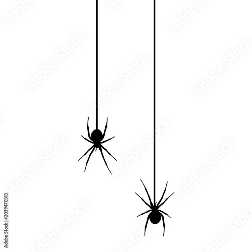 Halloween Spider Hanging