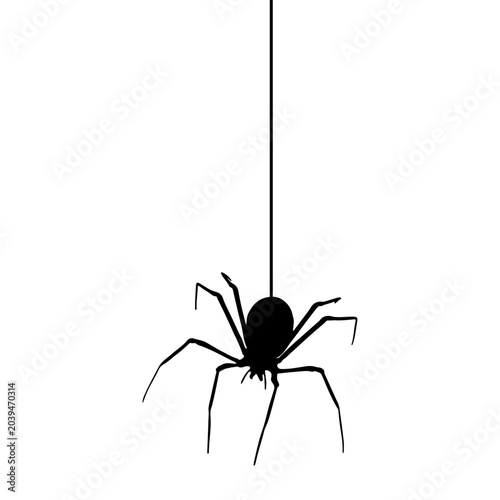 Halloween Spider Hanging