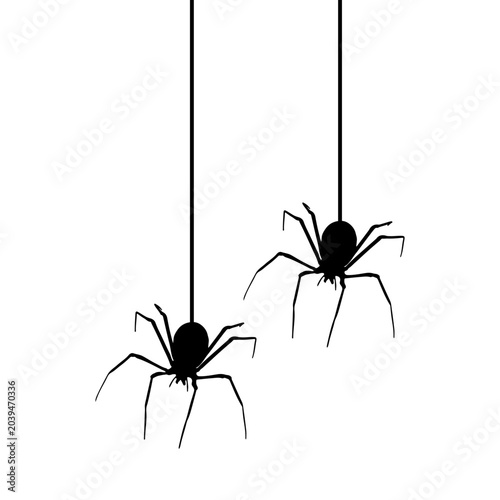Halloween Spider Hanging