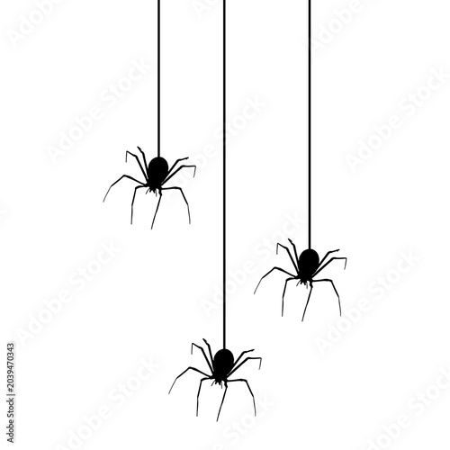 Halloween Spider Hanging