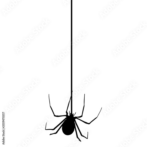 Halloween Spider Hanging