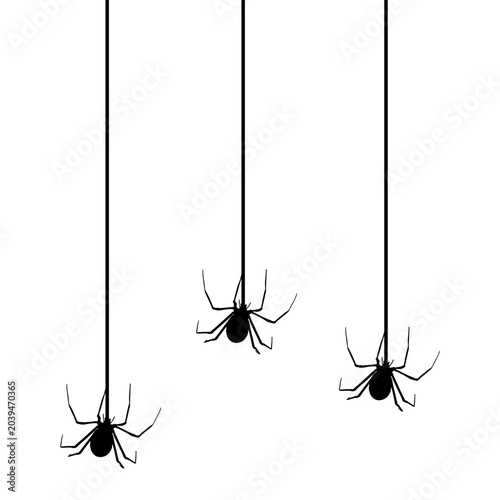 Halloween Spider Hanging