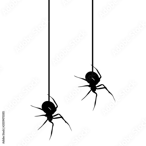 Halloween Spider Hanging