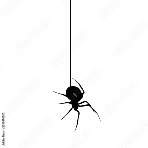 Halloween Spider Hanging
