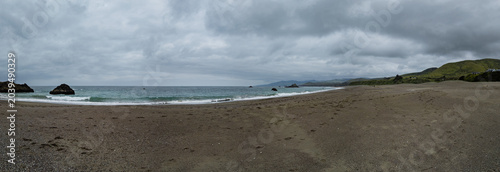 Vászonkép Panorama of California Beach on Overcast Day along Sonoma Coast