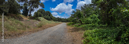 Panorama of American River Parkway Dirt Path and Dead Tree
