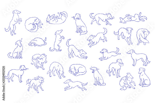 Borzoi dog outline sketch set, minimal line drawing collection, sitting running sleeping playing pose, elegant sighthound pet illustration