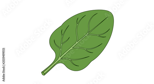 Canvastavla Green leaf with stem and veins.
