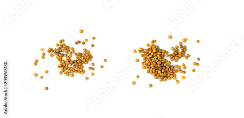 Cuadro en lienzo Cooked lentil, boiled green lentils