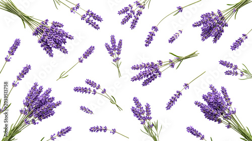 Tableau sur toile Beautiful purple lavender flower bouquets and scattered sprigs, fragrant and natural botanical elements