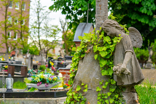 Фотография Antique stone sculpture of a sad angel leaning against a cross shaped like a tree trunk, overgrown with green ivy in a cemetery, shot in daylight with a blurred background of gravestones