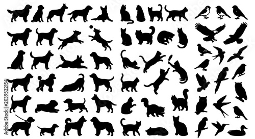 Photography Diverse Animal Silhouettes Collection: Dogs, Cats, Birds, and Wildlife Vector Ic