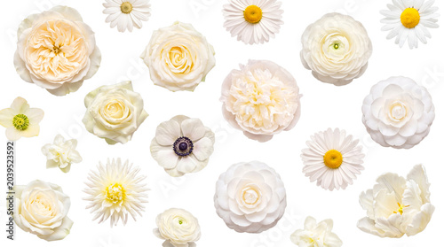 Diverse beautiful white flowers including roses, ranunculus, peonies, and daisies.