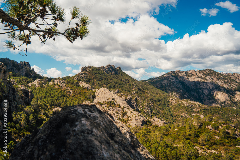 Fototapeta premium Panorama de montagnes boisées et de pics de granit, Bavella, Corse, France