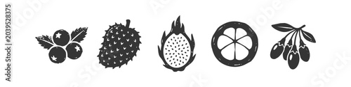 Bild auf Leinwand Exotic Superfood Fruit Berry Hand Drawn Icon Set