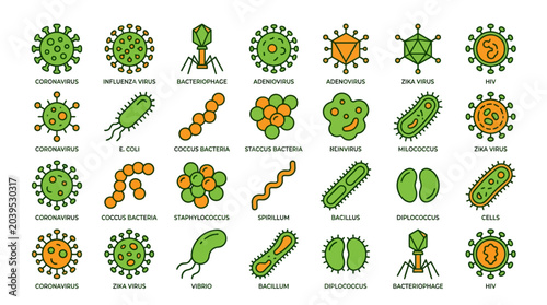 Bild auf Leinwand Colorful illustrations of various viruses and bacteria