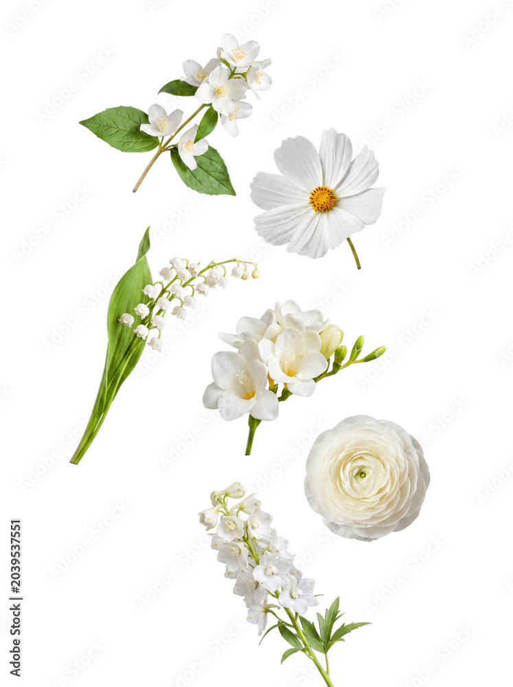 Obraz premium A pristine collection of white spring and summer flowers including jasmine, cosmos, and lily of the valley.