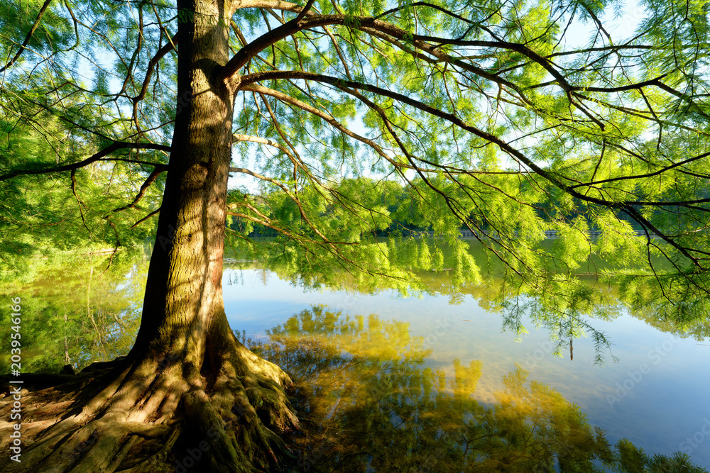 Fototapeta premium Marne river bank in Maison-Alfort city