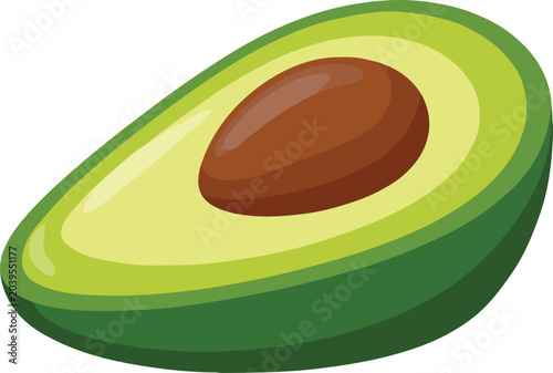 Avocado vector art
