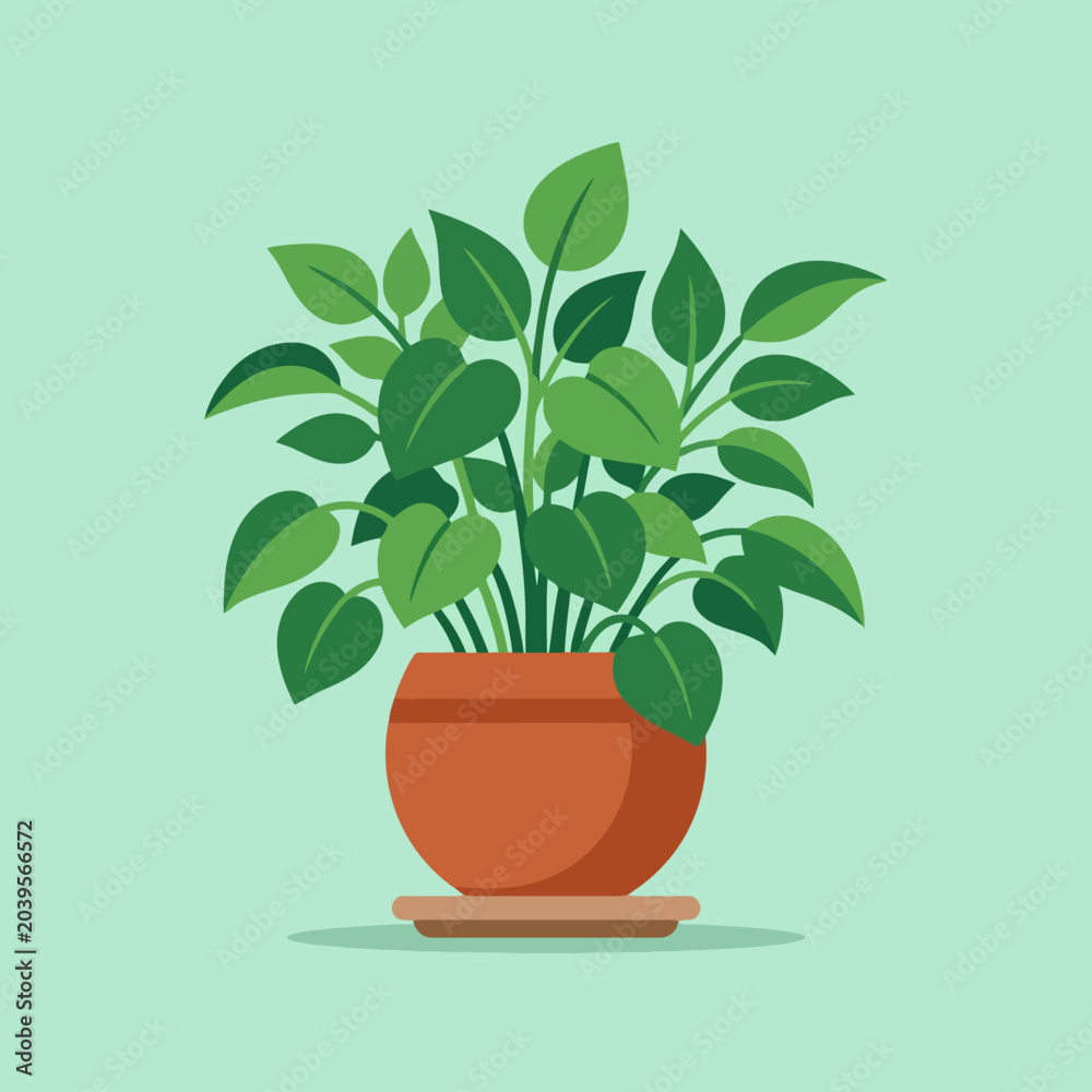 Obraz premium A simple green houseplant sits inside a round terracotta pot