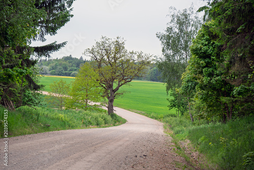Country dirt road stretching through rural landscapes and green meadows on a cloudy day.