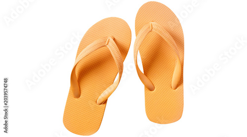 Εκτύπωση καμβά slippers png, footwear png, flip flops isolated, isolated flip flops, flip flops