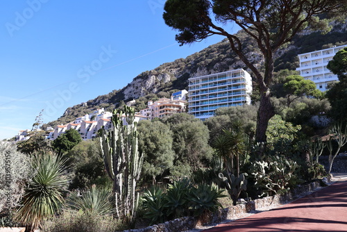 View of the Rock of Gibraltar, seen from the Botanical Garden, Great Britain
