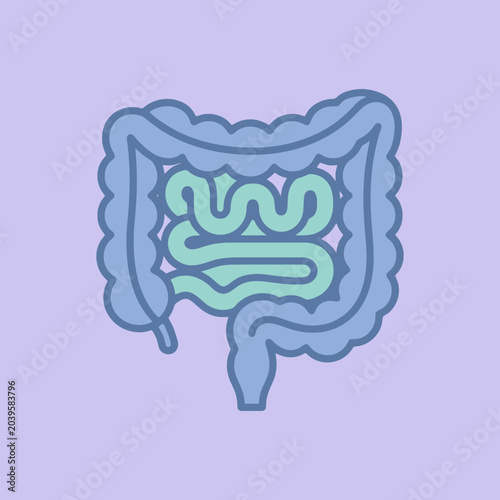 Foto A simple illustration of the human digestive system anatomy icon