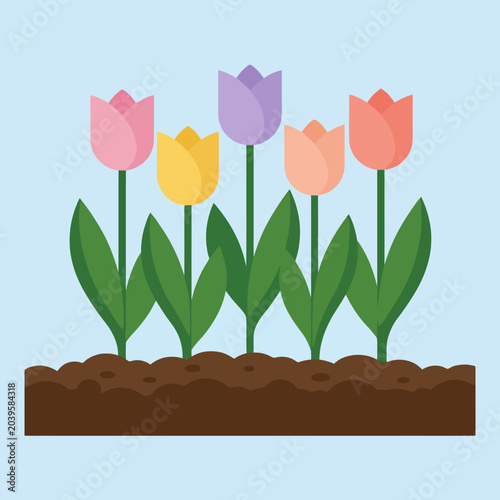 A row of colorful spring flowers growing in dark brown soil