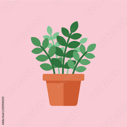 A simple green houseplant sits inside a small terracotta pot