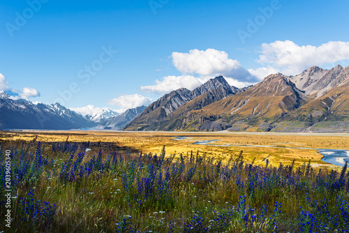 Schilderij op canvas Mount Cook / Aoraki, New Zealand