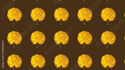 Seamless loop of dry yellow autumn leaves drifting diagonally from bottom right to upper left. Organic floating pattern evokes fall atmosphere. Ideal for seasonal overlays and backgrounds.
