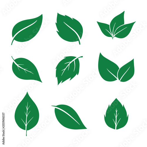 Tableau sur toile Collection of Green Leaf Vector Icons Set