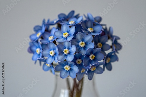 A vase filled with blue flowers sitting on top of a table