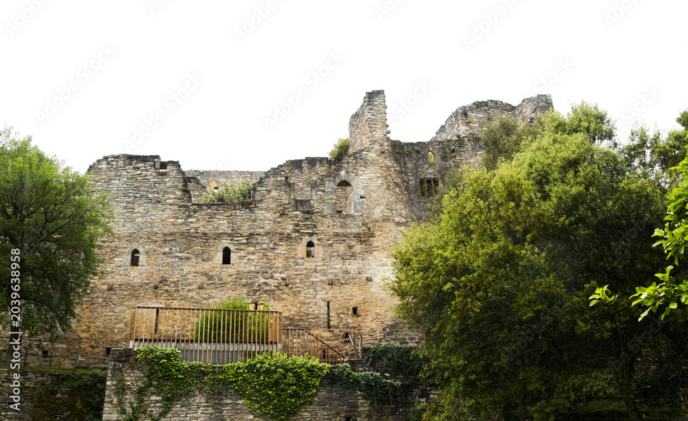 Fototapeta premium Santa Catalina Botanical Garden in Basque Country Spain, built around the picturesque, remnants of a 13th-century monastery, palace, and church 