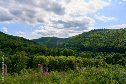 Beautiful view of summer green mountains in clear weather.