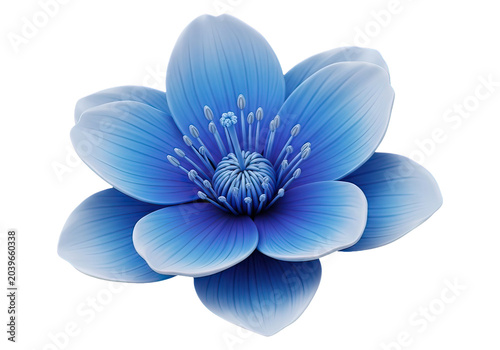 Blue fluffy flowers bunch isolated on white