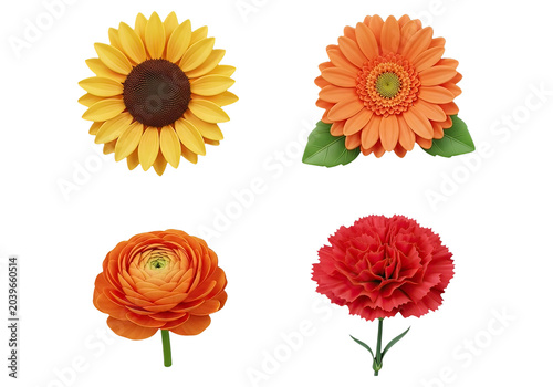 Autumn maple leaves in bright colors vector illustration