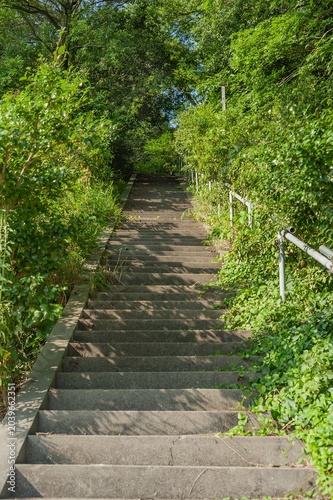 Obraz na plátně 愛宕神社の境内に続く新緑に包まれた長い石段/Long Stone Steps Enveloped in Fresh Greenery Leading to th