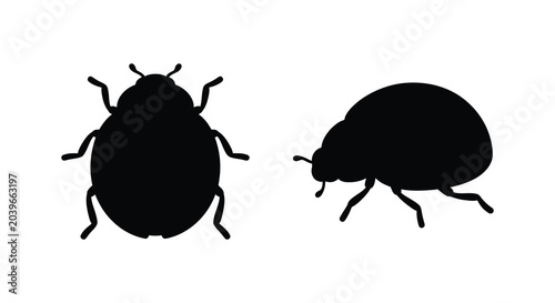 Bild auf Leinwand two beetle silhouettes on white background silhouette insect bug black animal na