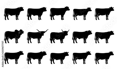 Foto Farm cattle breed silhouette collection featuring various cow types isolated on