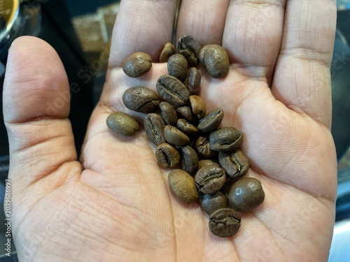 Coffee beans held in an open human hand close up view