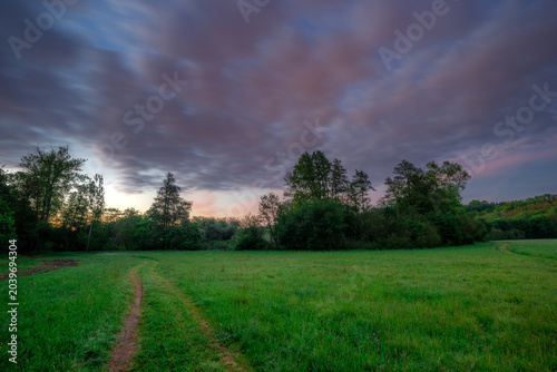 Photos A winding path through a verdant spring meadow leading toward a lush forest edge under a soft, moody sunset sky with hints of twilight